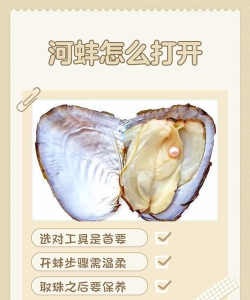 河蚌怎么抓,掌握技巧方法,轻松收获美味 河蚌怎么抓,掌握技巧方法,轻松收获美味