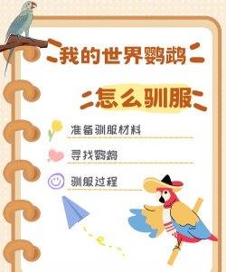 我的世界鹦鹉怎么驯服,快速上手技巧,新手必看指南 我的世界鹦鹉怎么驯服,快速上手技巧,新手必看指南