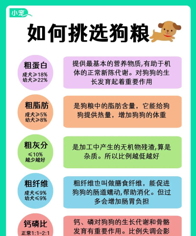 如何带狗粮,选对方法,狗狗更爱吃 如何带狗粮,选对方法,狗狗更爱吃