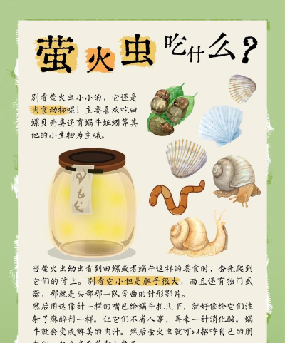 萤火虫怎么抓,方法要温和,地点要选对 萤火虫怎么抓,方法要温和,地点要选对
