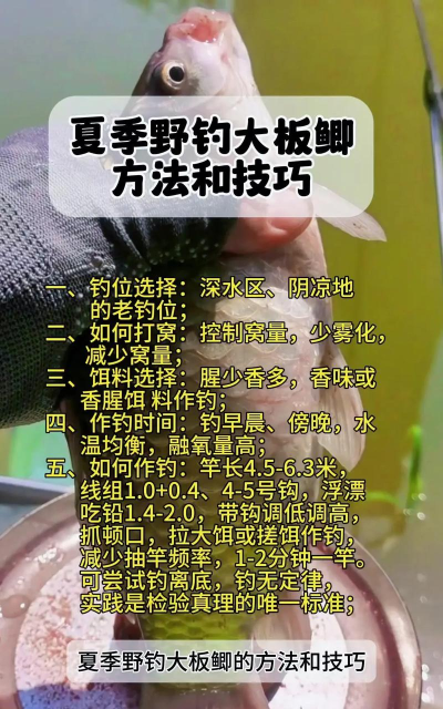 如何正确钓鱼,掌握基础技巧,提升上钩率 如何正确钓鱼,掌握基础技巧,提升上钩率