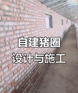 如何建猪圈,选址很关键,材料要选好 如何建猪圈,选址很关键,材料要选好