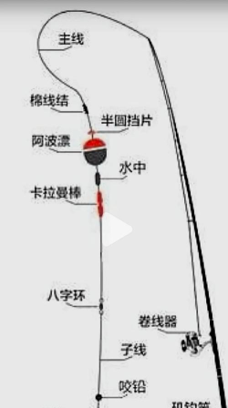 海边钓鱼,新手入门,实用技巧分享 海边钓鱼,新手入门,实用技巧分享