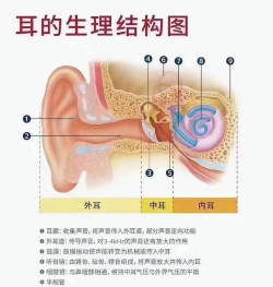 如何介绍音乐,抓住听众耳朵,分享实用技巧 如何介绍音乐,抓住听众耳朵,分享实用技巧
