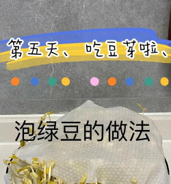 怎么做种子,从选种到发芽,新手也能轻松上手 怎么做种子,从选种到发芽,新手也能轻松上手