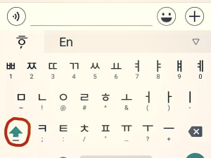 怎么打韩文,掌握输入法技巧,轻松打出韩文字符 怎么打韩文,掌握输入法技巧,轻松打出韩文字符