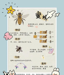 如何寻找蜜蜂,掌握关键技巧,轻松发现蜂群踪迹 如何寻找蜜蜂,掌握关键技巧,轻松发现蜂群踪迹