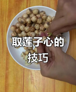 如何取莲子,轻松剥壳不伤肉,完整取出莲子心 如何取莲子,轻松剥壳不伤肉,完整取出莲子心