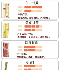 甘蔗如何种,选对品种,掌握关键步骤 甘蔗如何种,选对品种,掌握关键步骤