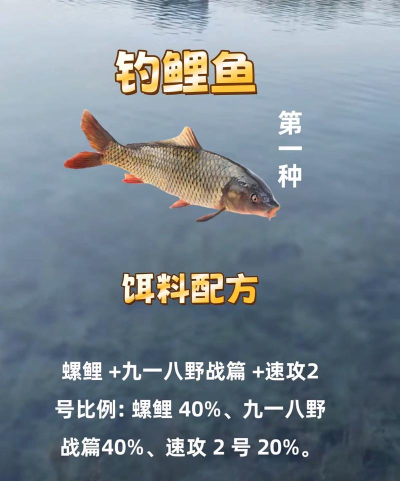 野生鲤鱼怎么钓,掌握关键技巧,提升上鱼效率 野生鲤鱼怎么钓,掌握关键技巧,提升上鱼效率