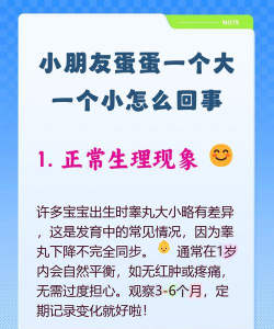 蛋小怎么办,了解原因,找到改善方法 蛋小怎么办,了解原因,找到改善方法