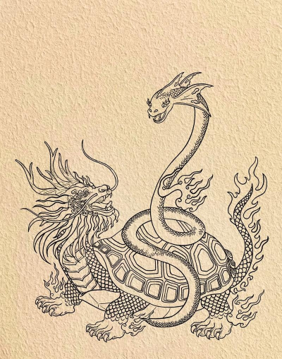 怎么画玄武,掌握关键步骤,轻松画出神兽 怎么画玄武,掌握关键步骤,轻松画出神兽