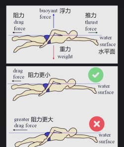 潜水如何上浮,掌握关键技巧,确保安全上升 潜水如何上浮,掌握关键技巧,确保安全上升