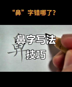鼻字怎么写,笔画顺序,结构解析 鼻字怎么写,笔画顺序,结构解析
