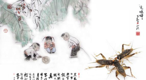 如何斗蛐蛐,掌握基本技巧,体验传统乐趣 如何斗蛐蛐,掌握基本技巧,体验传统乐趣