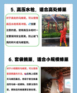 蜂巢如何使用,新手入门指南,常见问题解答 蜂巢如何使用,新手入门指南,常见问题解答