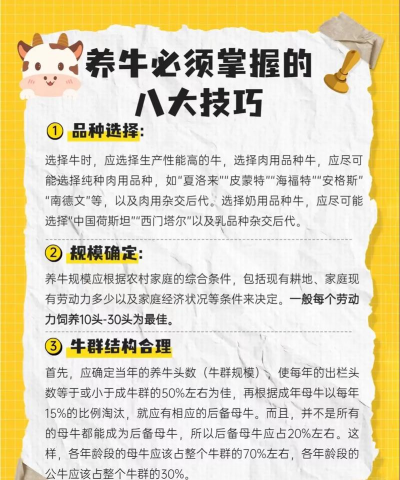怎样养牛如何养牛,新手入门指南,常见问题解答 怎样养牛如何养牛,新手入门指南,常见问题解答