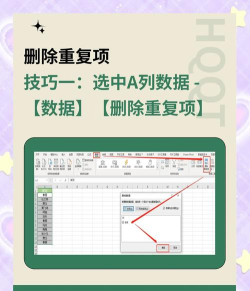 如何快速删除WPS表格中的重复记录? 如何快速删除WPS表格中的重复记录?