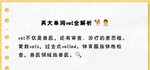 vest怎么读 vest怎么读