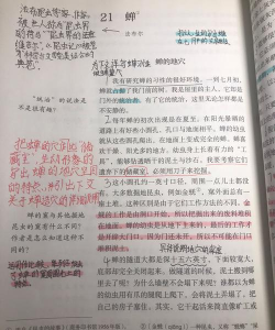 为知笔记是什么?为知笔记怎么用? 为知笔记是什么?为知笔记怎么用?