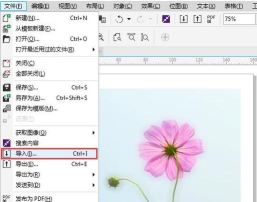 coreldraw怎么从背景中分离文字 coreldraw怎么从背景中分离文字