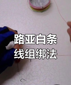 白条怎么套 白条怎么套