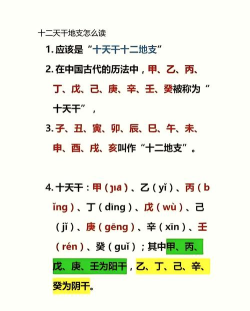 十二地支怎么读 十二地支怎么读