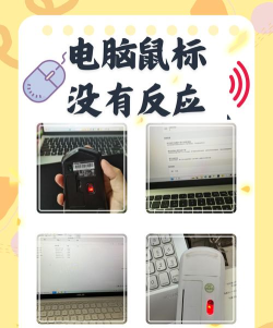 鼠标不动了怎么办 鼠标不动了怎么办