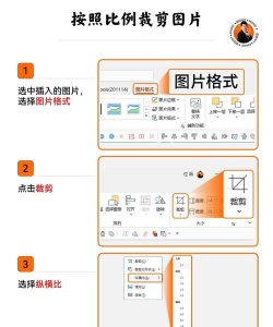 ppt如何裁剪图片形状 ppt如何裁剪图片形状