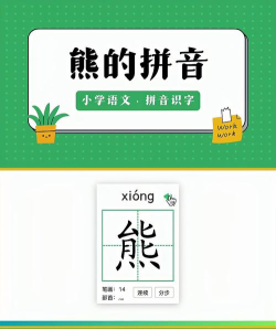 熊拼音怎么写 熊拼音怎么写