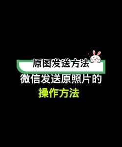手机微信发原图怎么发 手机微信发原图怎么发