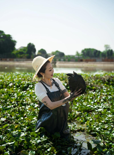 甲鱼怎么抓 甲鱼怎么抓