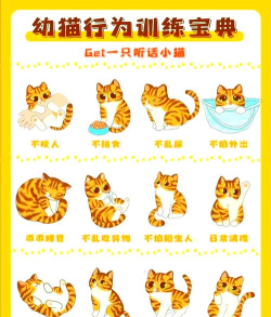 猫怎么驯服 猫怎么驯服