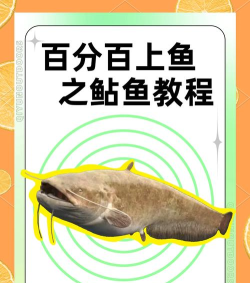 怎么钓到大鱼 怎么钓到大鱼