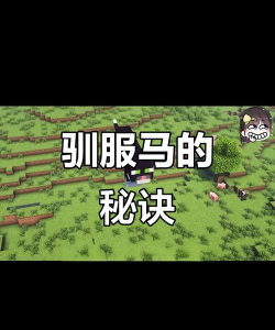 马怎么驯服 马怎么驯服