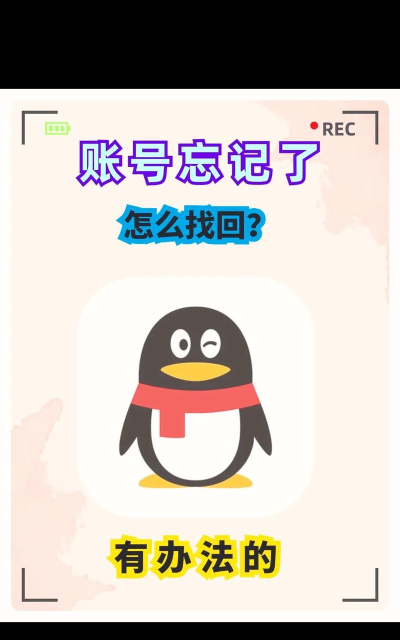 账号忘记了怎么办 账号忘记了怎么办