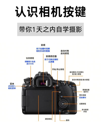 相机怎么拍摄视频 相机怎么拍摄视频