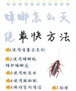 蟑螂怎么打 蟑螂怎么打