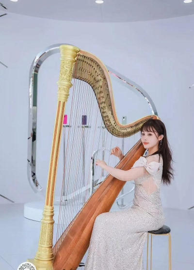 竖琴怎么弹 竖琴怎么弹