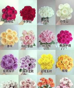 玫瑰花怎么买 玫瑰花怎么买