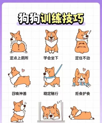 怎么驯服狗狗 怎么驯服狗狗