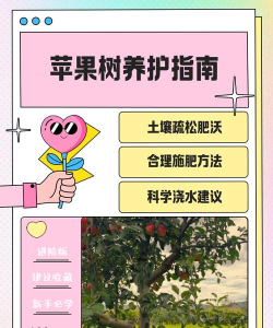 苹果树怎么种 苹果树怎么种