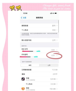 苹果怎么设置4g 苹果怎么设置4g