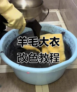 羊毛怎么染色 羊毛怎么染色