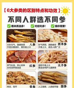 人参怎么买 人参怎么买