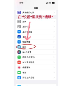 苹果墙纸怎么设置 苹果墙纸怎么设置