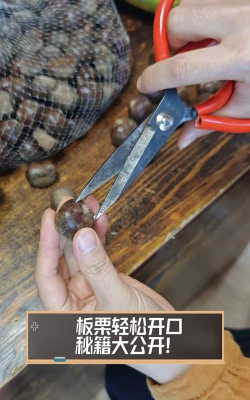 坚果怎么开 坚果怎么开