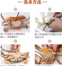 青蟹怎么抓 青蟹怎么抓
