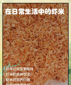 虾米怎么养 虾米怎么养