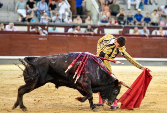 斗牛怎么看 斗牛怎么看